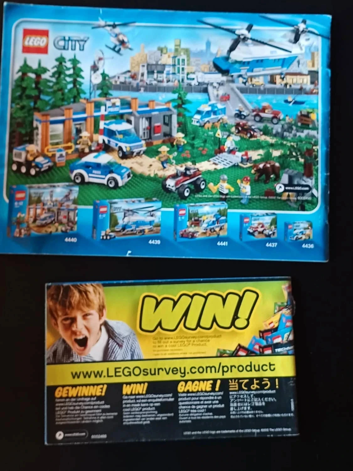 Notice lego 4209 – photo 2